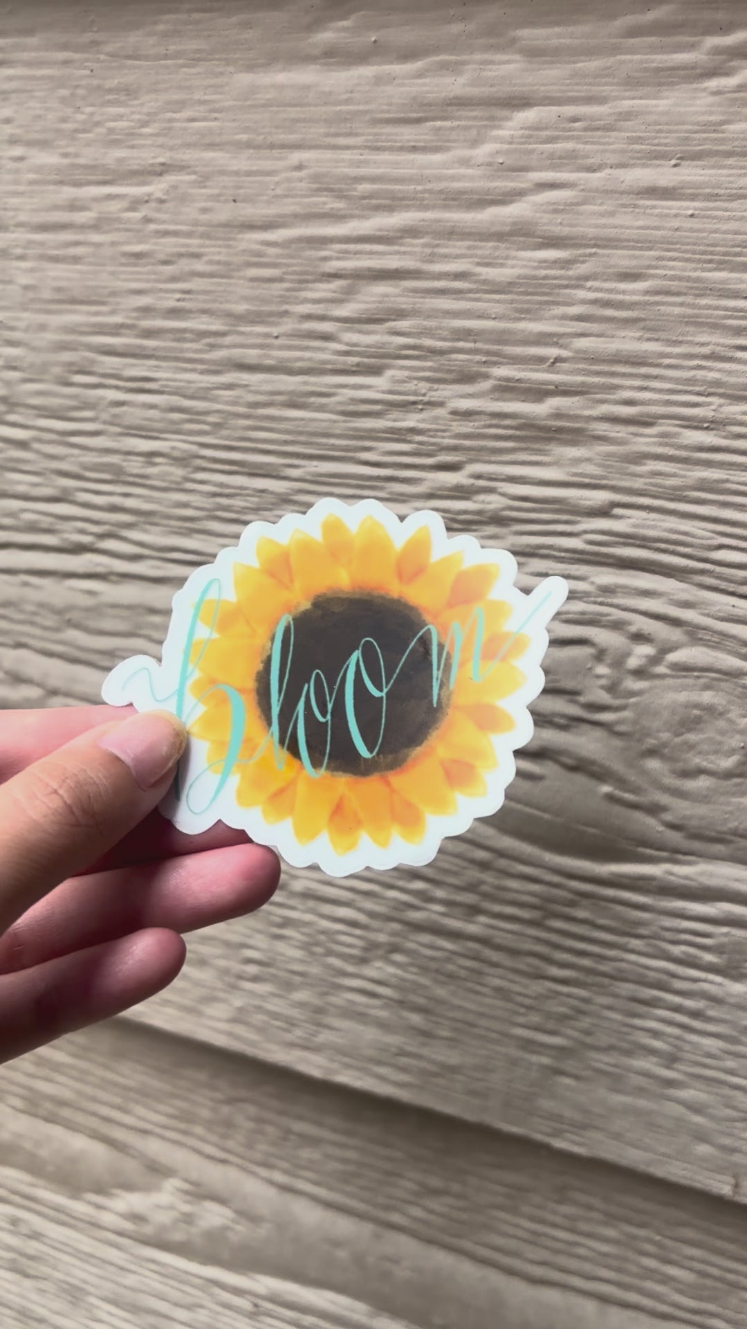 Bloom sunflower sticker